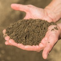 Грунт для газона с доставкой минск